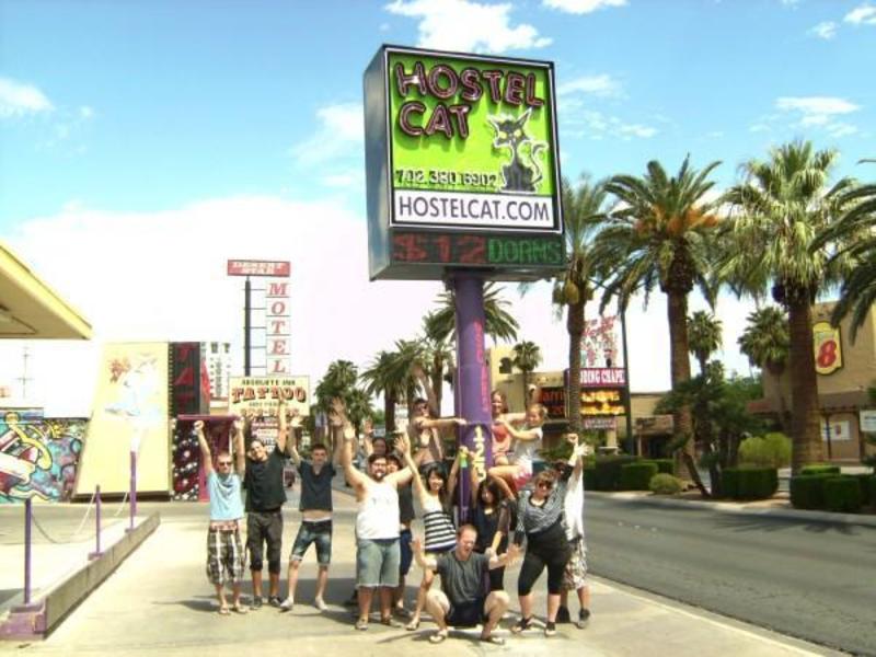 Hostel Cat in Las Vegas, USA Find Cheap Hostels and Rooms at