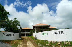 Naked Tiger Hostel