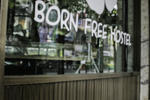 Born Free Hostel 