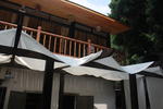 Mushishi Home Hostel (Forest House)